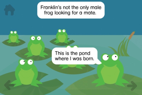 Franklin Frog