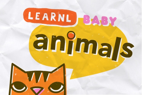 Learnl Baby