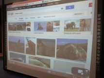 altro esempio di uso della LIM