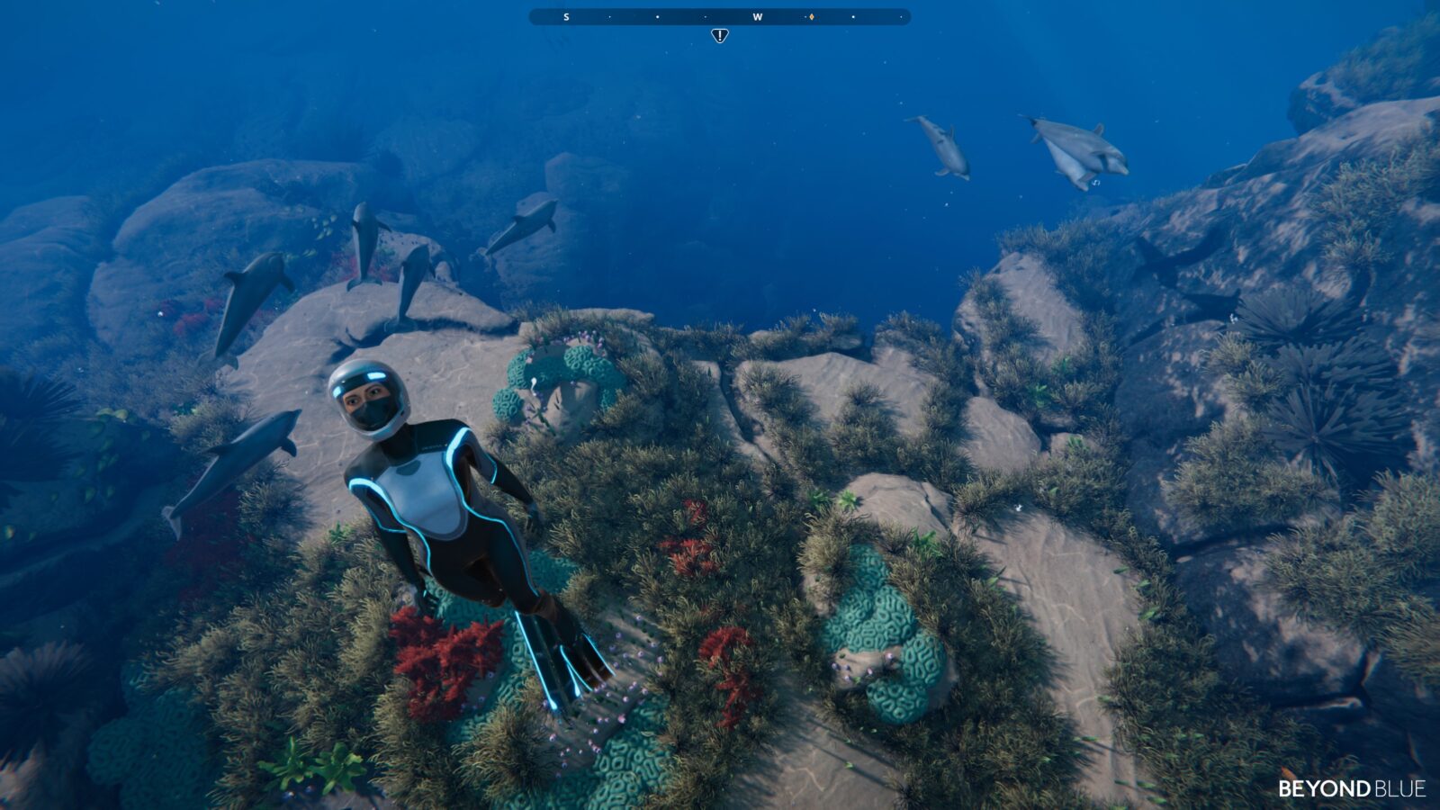 beyond blue