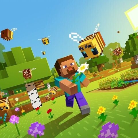 minecraft educazione civica